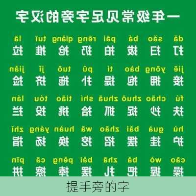 提手旁的字