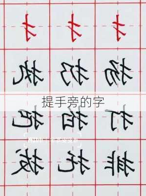 提手旁的字