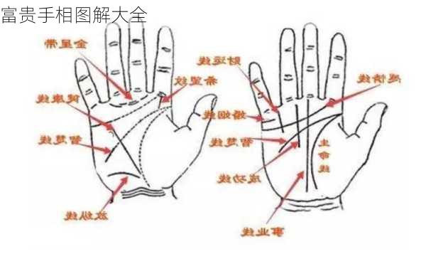 富贵手相图解大全