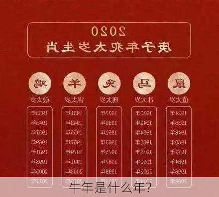 牛年是什么年?