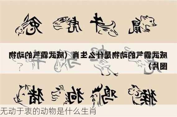 无动于衷的动物是什么生肖