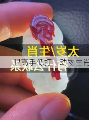 眼高手低打一动物生肖