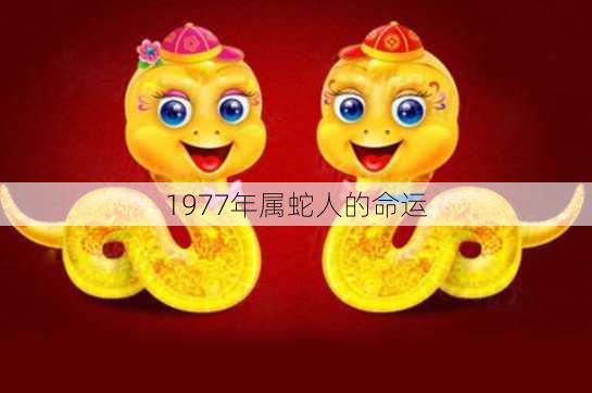 1977年属蛇人的命运