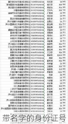 带名字的身份证号