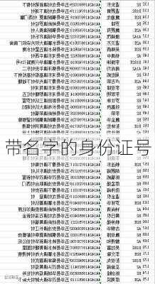 带名字的身份证号