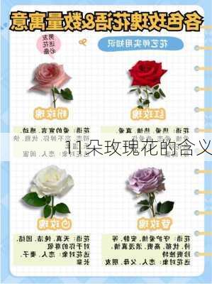 11朵玫瑰花的含义