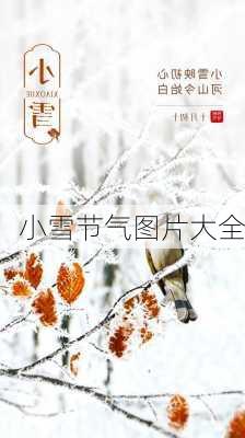 小雪节气图片大全