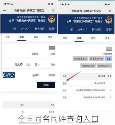 全国同名同姓查询入口