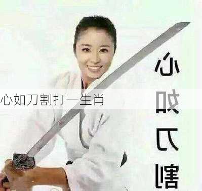 心如刀割打一生肖