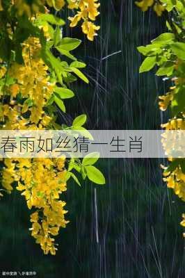 春雨如丝猜一生肖