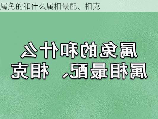 属兔的和什么属相最配、相克