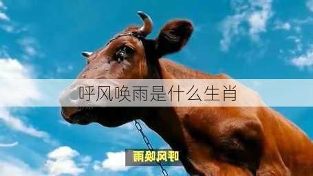 呼风唤雨是什么生肖