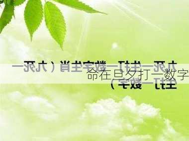 命在旦夕打一数字