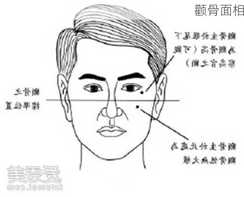 颧骨面相