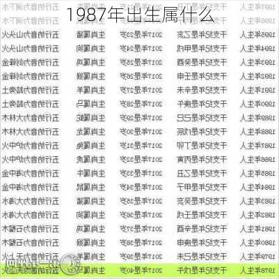 1987年出生属什么