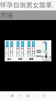 怀孕自测男女简单方法