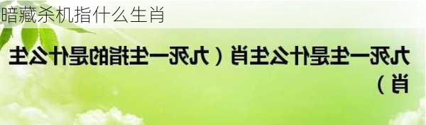 暗藏杀机指什么生肖