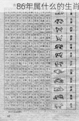 86年属什么的生肖