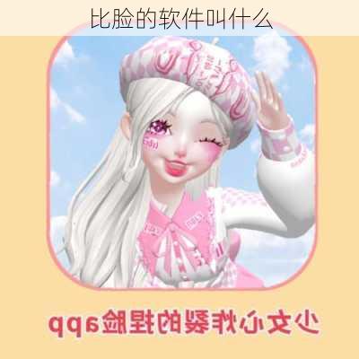 比脸的软件叫什么