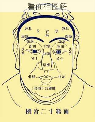 看面相图解