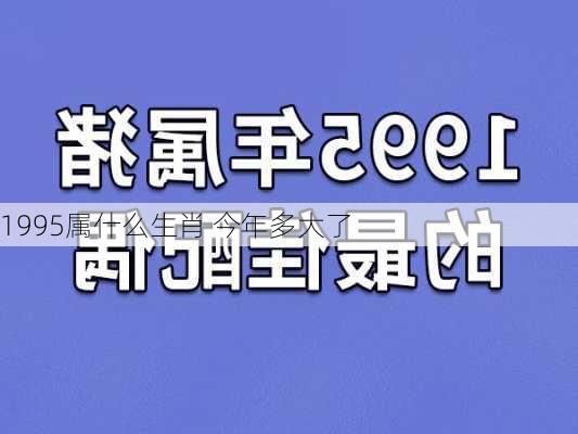 1995属什么生肖 今年多大了