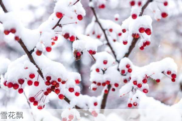 雪花飘