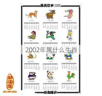 2002年属什么生肖