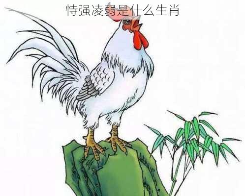 恃强凌弱是什么生肖