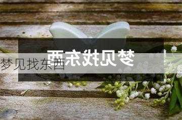 梦见找东西