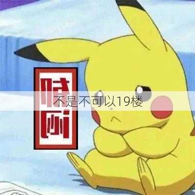 不是不可以19楼