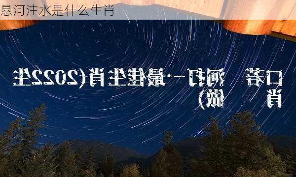 悬河注水是什么生肖