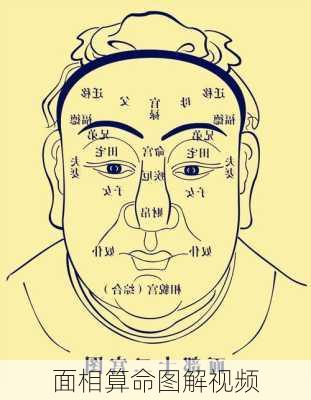 面相算命图解视频