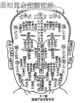 面相算命图解视频