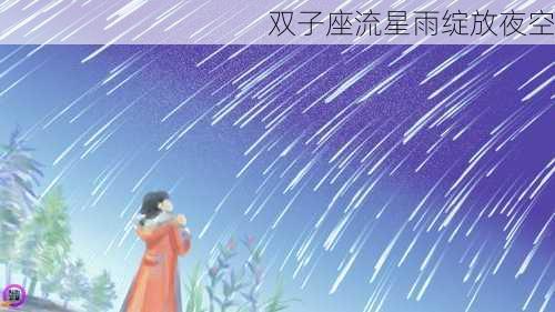 双子座流星雨绽放夜空