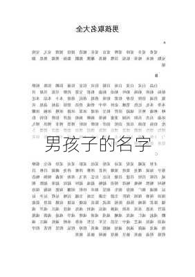 男孩子的名字