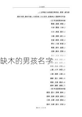 缺木的男孩名字