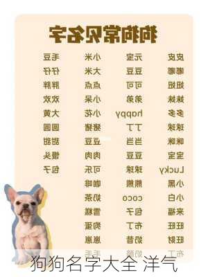 狗狗名字大全 洋气