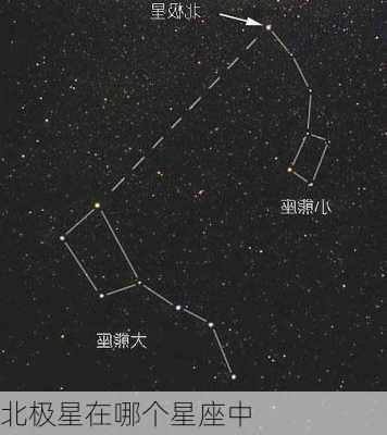 北极星在哪个星座中