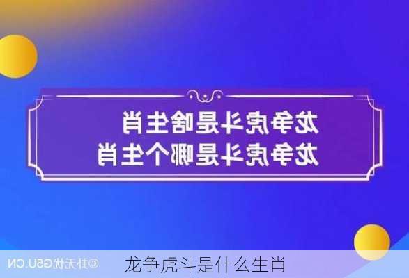 龙争虎斗是什么生肖