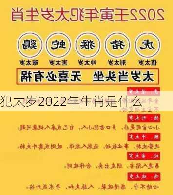 犯太岁2022年生肖是什么