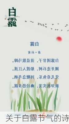 关于白露节气的诗