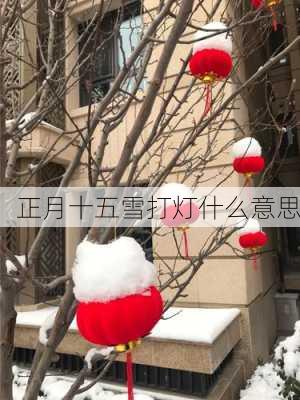 正月十五雪打灯什么意思