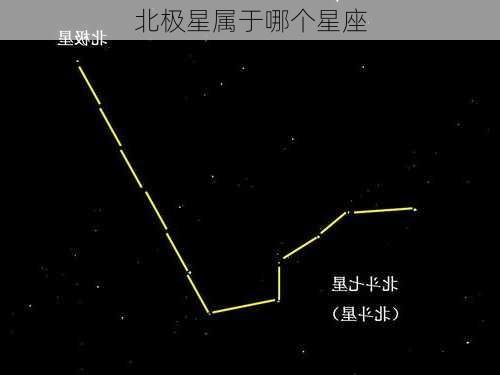 北极星属于哪个星座