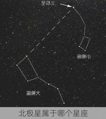 北极星属于哪个星座