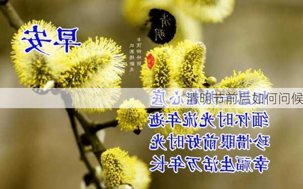 清明节前后如何问候