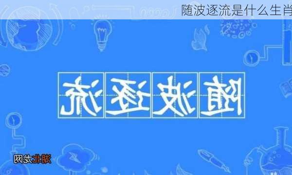 随波逐流是什么生肖