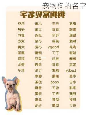 宠物狗的名字