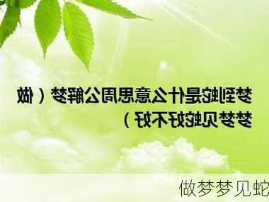 做梦梦见蛇