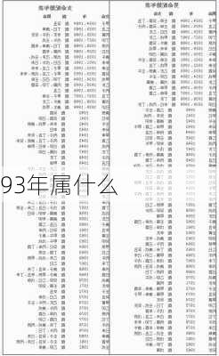 93年属什么