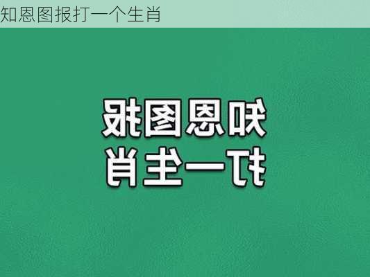 知恩图报打一个生肖